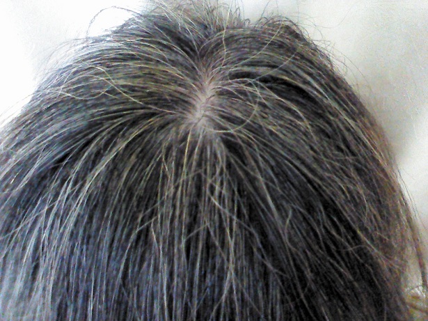 1249c0ca45910b453e7e31da512f60ef_m